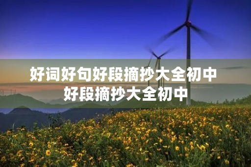 好词好句好段摘抄大全初中 好段摘抄大全初中