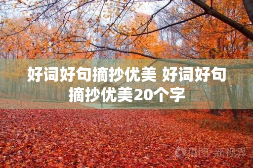 好词好句摘抄优美 好词好句摘抄优美20个字 好词好句摘抄优美 好词好句摘抄优美20个字