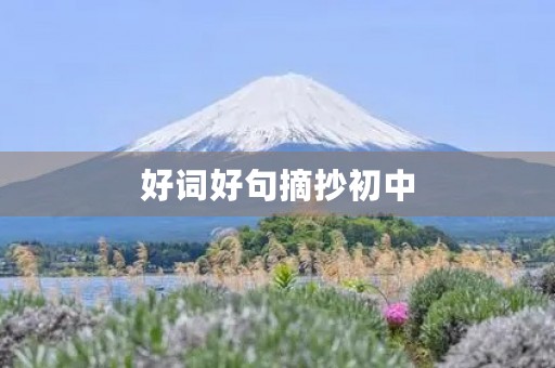 好词好句摘抄初中(好词好句摘抄初中100字) 好词好句摘抄初中(好词好句摘抄初中100字)