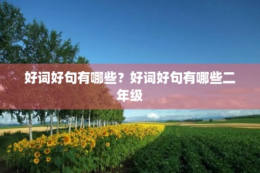 好词好句有哪些？好词好句有哪些二年级