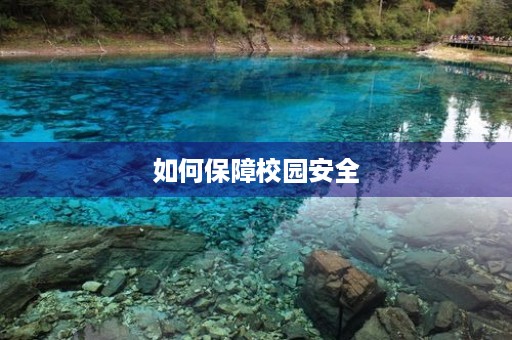 如何保障校园安全