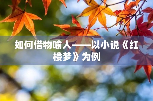 如何借物喻人——以小说《红楼梦》为例