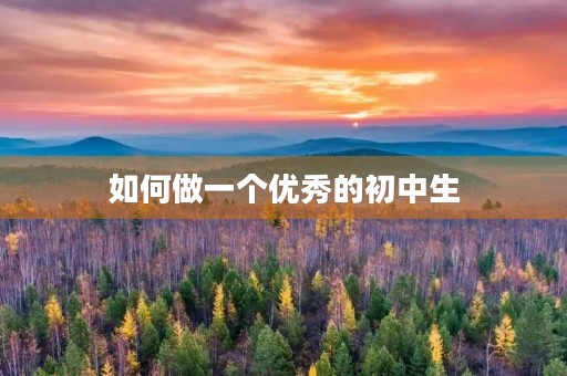 如何做一个优秀的初中生 如何做一个优秀的初中生