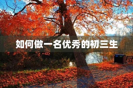 如何做一名优秀的初三生