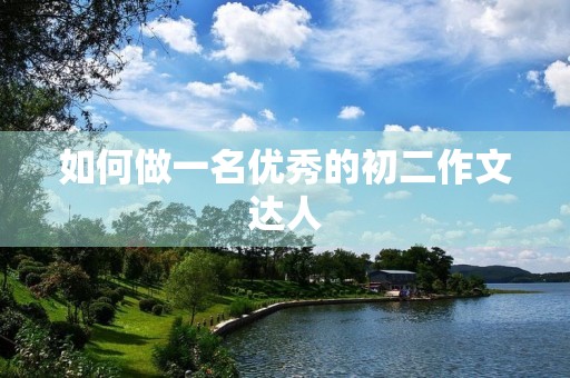 如何做一名优秀的初二作文达人