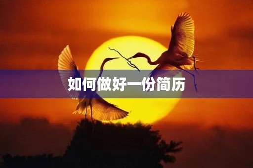 如何做好一份简历 如何做好一份简历