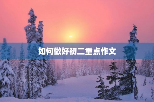 如何做好初二重点作文