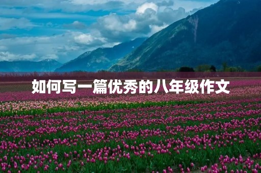 如何写一篇优秀的八年级作文 如何写一篇优秀的八年级作文