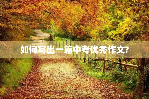 如何写出一篇中考优秀作文? 如何写出一篇中考优秀作文?