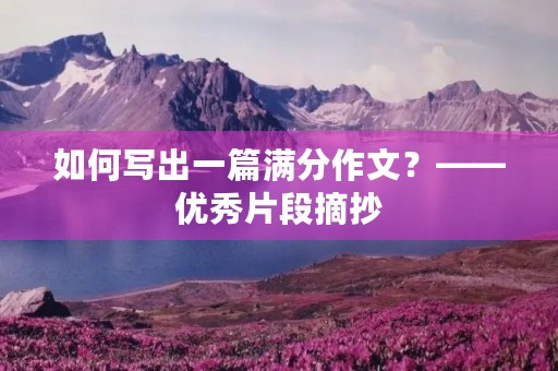 如何写出一篇满分作文？——优秀片段摘抄