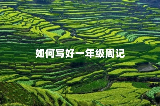 如何写好一年级周记
