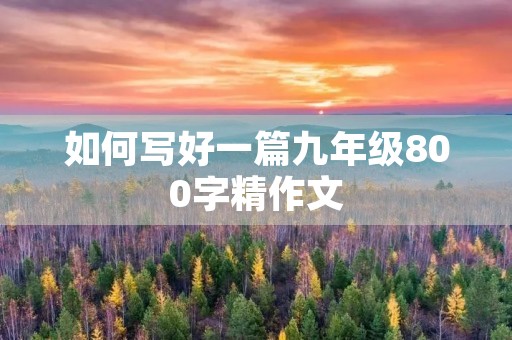 如何写好一篇九年级800字精作文 如何写好一篇九年级800字精作文