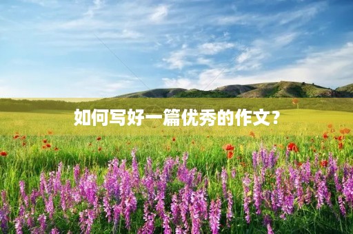 如何写好一篇优秀的作文? 如何写好一篇优秀的作文?