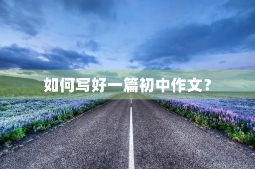 如何写好一篇初中作文? 如何写好一篇初中作文?