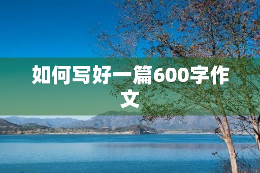 如何写好一篇600字作文 如何写好一篇600字作文