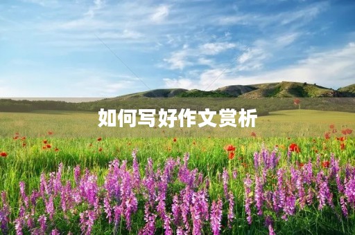 如何写好作文赏析