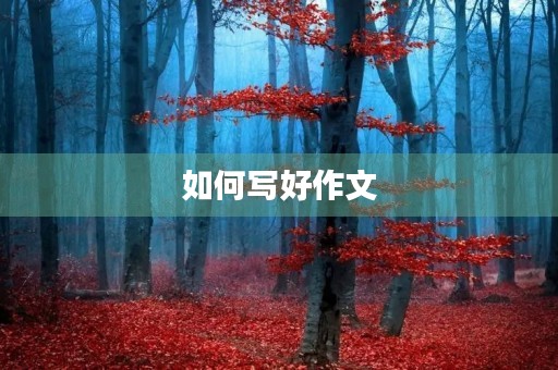 如何写好作文 如何写好作文