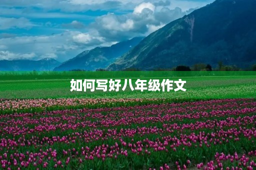 如何写好八年级作文 如何写好八年级作文