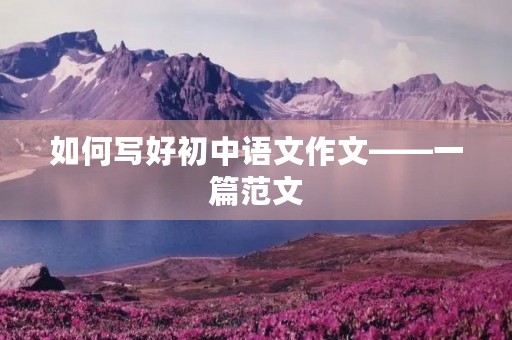 如何写好初中语文作文——一篇范文