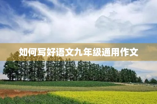 如何写好语文九年级通用作文