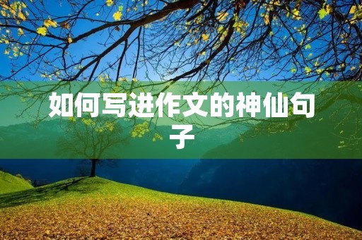 如何写进作文的神仙句子