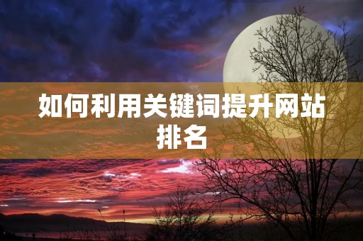 如何利用关键词提升网站排名