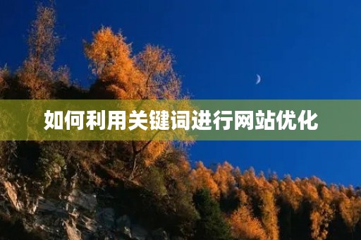 如何利用关键词进行网站优化