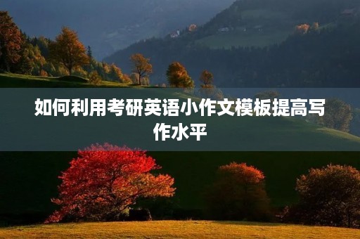 如何利用考研英语小作文模板提高写作水平