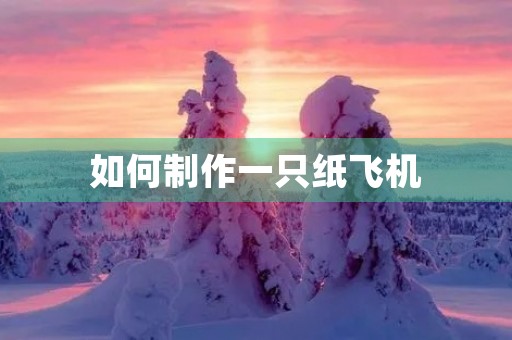 如何制作一只纸飞机 如何制作一只纸飞机