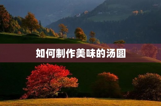 如何制作美味的汤圆
