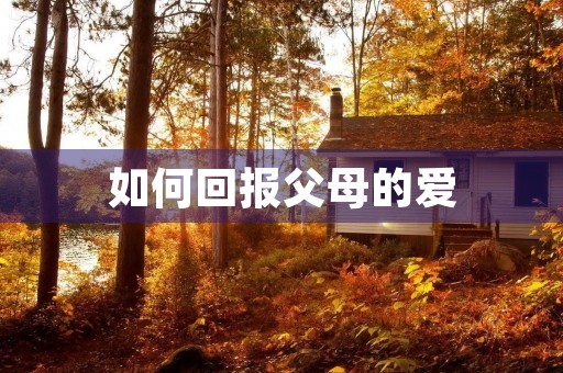 如何回报父母的爱