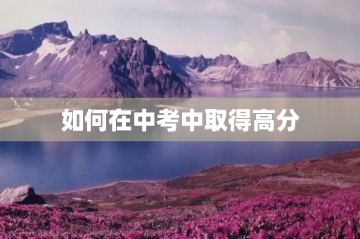如何在中考中取得高分,进入好的高中? 如何在中考中取得高分,进入好的高中?