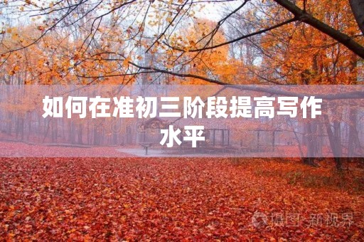 如何在准初三阶段提高写作水平 如何在准初三阶段提高写作水平