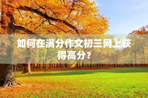 如何在满分作文初三网上获得高分？