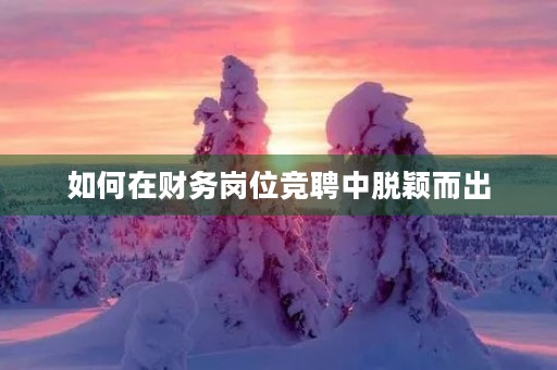 如何在财务岗位竞聘中脱颖而出