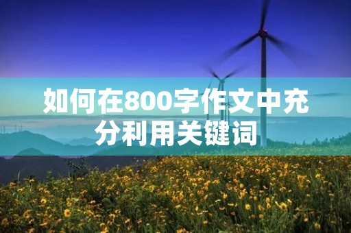 如何在800字作文中充分利用关键词