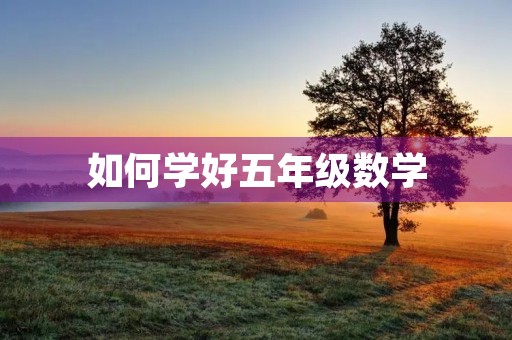 如何学好五年级数学