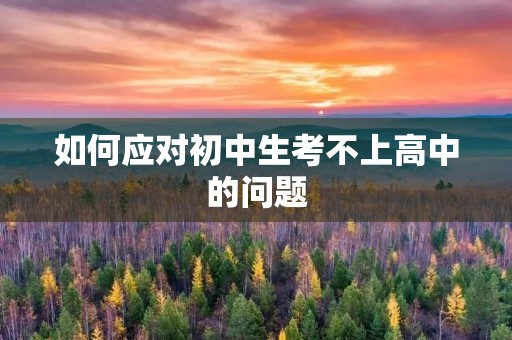 如何应对初中生考不上高中的问题