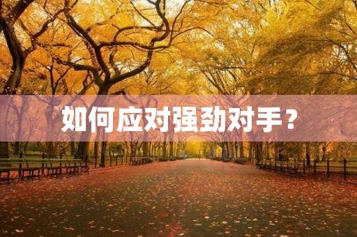 如何应对强劲对手? 如何应对强劲对手?
