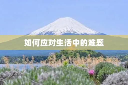 如何应对生活中的难题