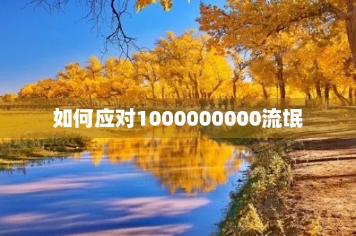 如何应对1000000000流氓 如何应对1000000000流氓