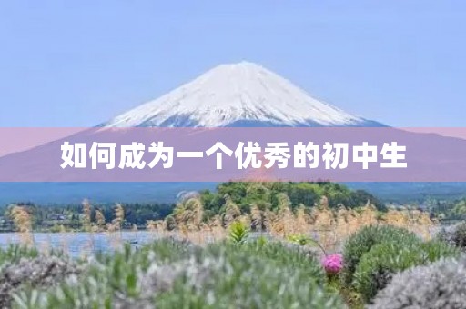如何成为一个优秀的初中生 如何成为一个优秀的初中生