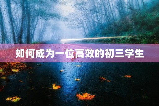 如何成为一位高效的初三学生