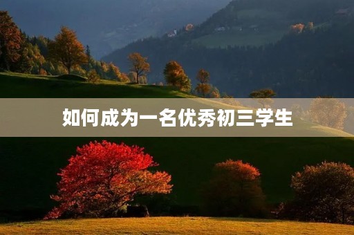 如何成为一名优秀初三学生 如何成为一名优秀初三学生