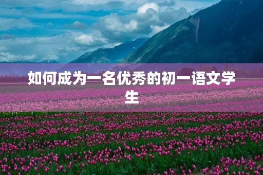 如何成为一名优秀的初一语文学生