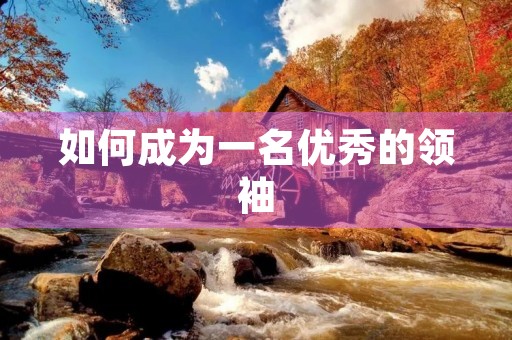 如何成为一名优秀的领袖