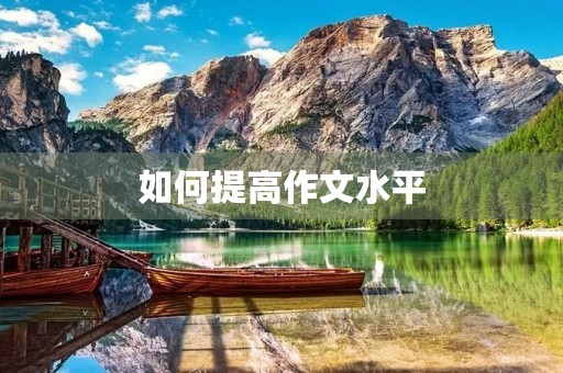 如何提高作文水平