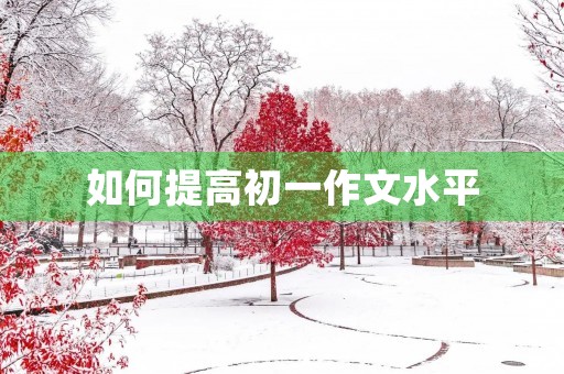 如何提高初一作文水平 如何提高初一作文水平