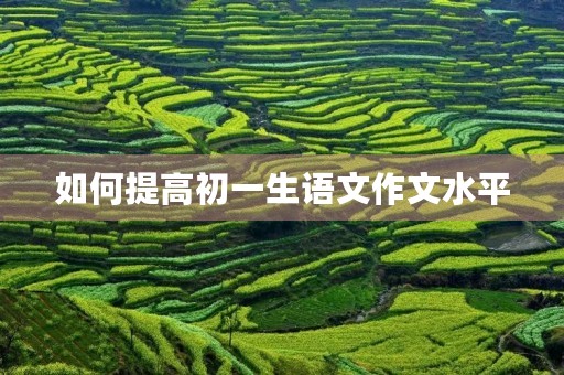 如何提高初一生语文作文水平 如何提高初一生语文作文水平