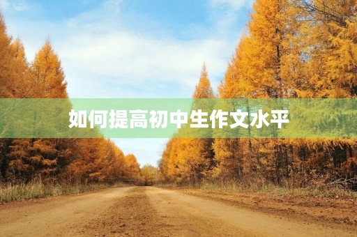 如何提高初中生作文水平